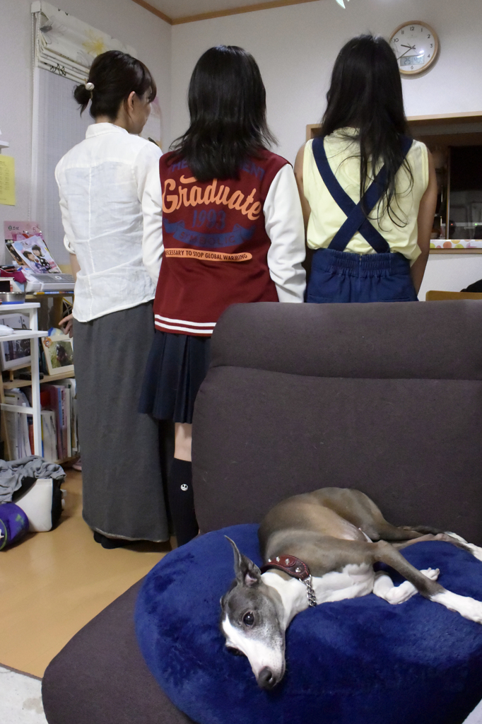 やる気なし〜