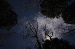もとすの夜空
