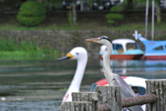 公園にて3