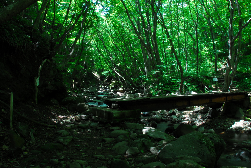 遠藤ヶ滝遊歩道。