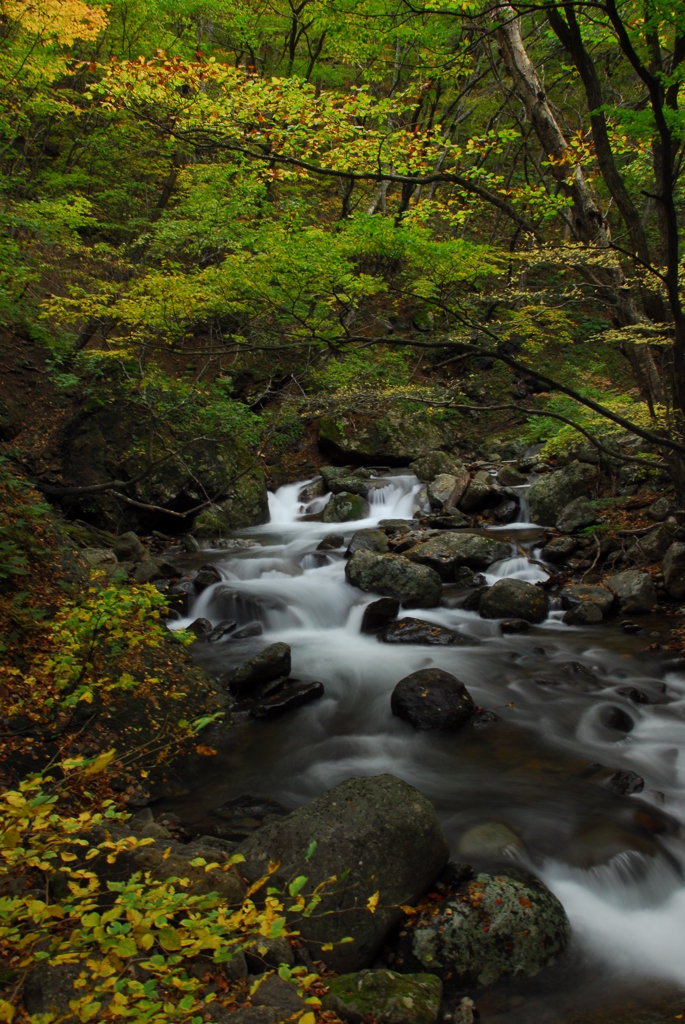 秋の渓谷。