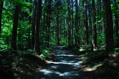 遠藤ヶ滝参道。