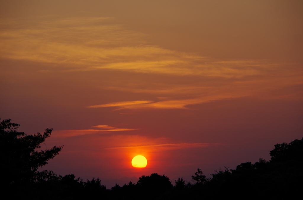 夕日