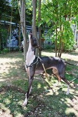 風のにほい
