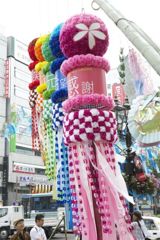 大ダコにしか見えなかった