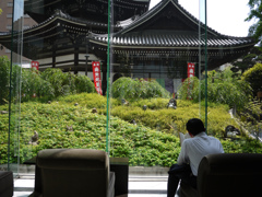 2013　京都　タヌキもいます