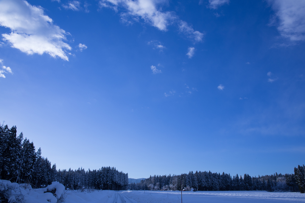 winter_4