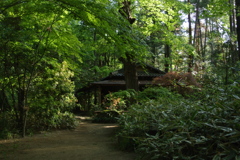 道