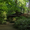 道