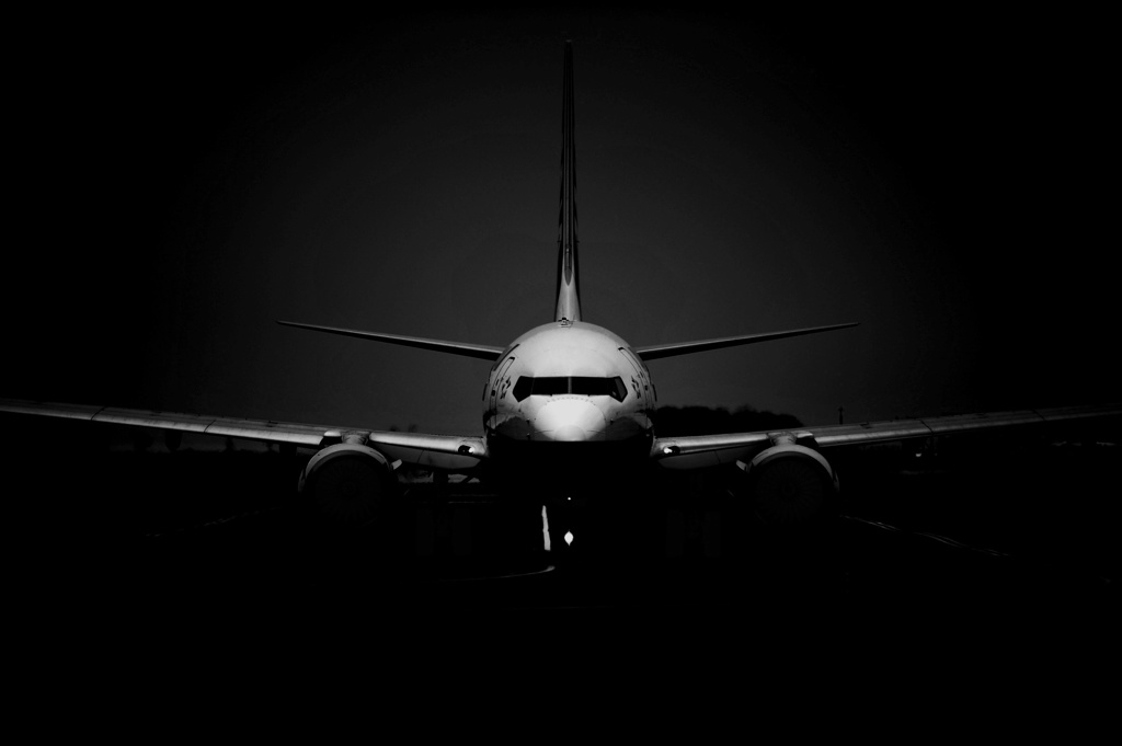 love  737