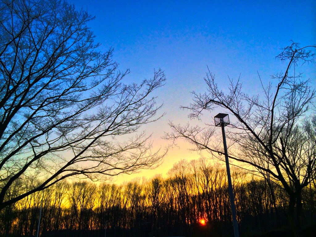 夕暮れ時