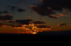 DSC_0173