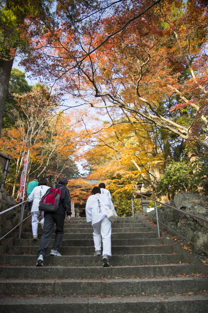 紅葉遍路