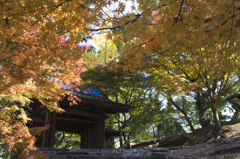 丈六寺 二の門