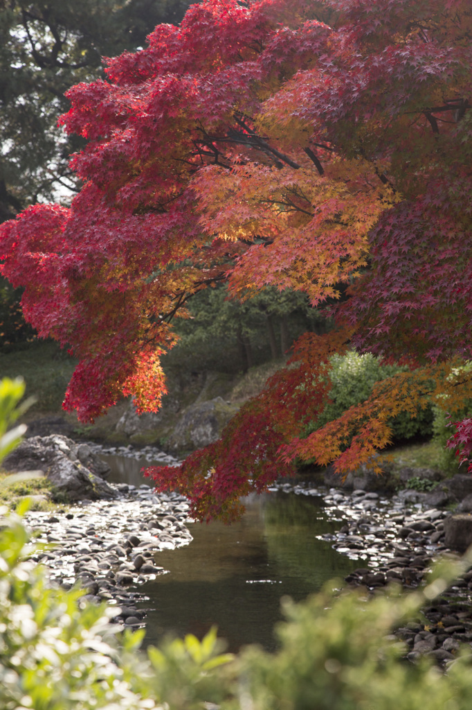 栗林公園