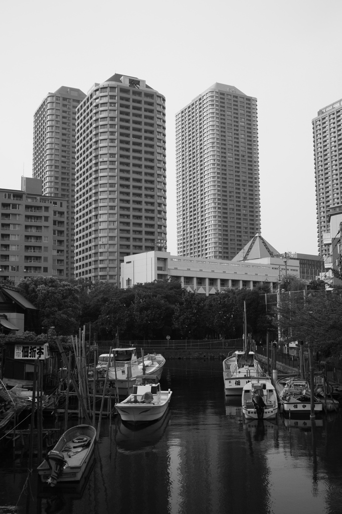 月島・佃の情景12