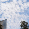 朝の空