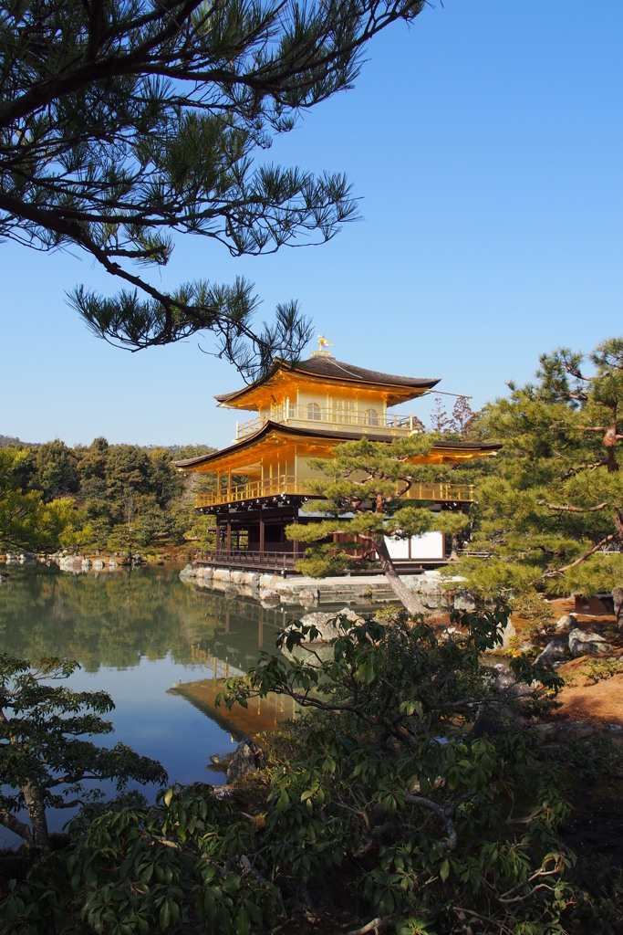 金閣寺