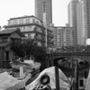 月島・佃の情景10
