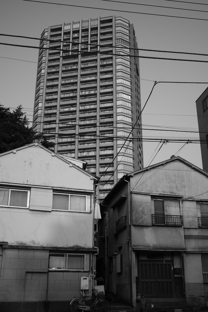月島・佃の情景11