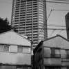 月島・佃の情景11