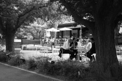 オープンカフェ２