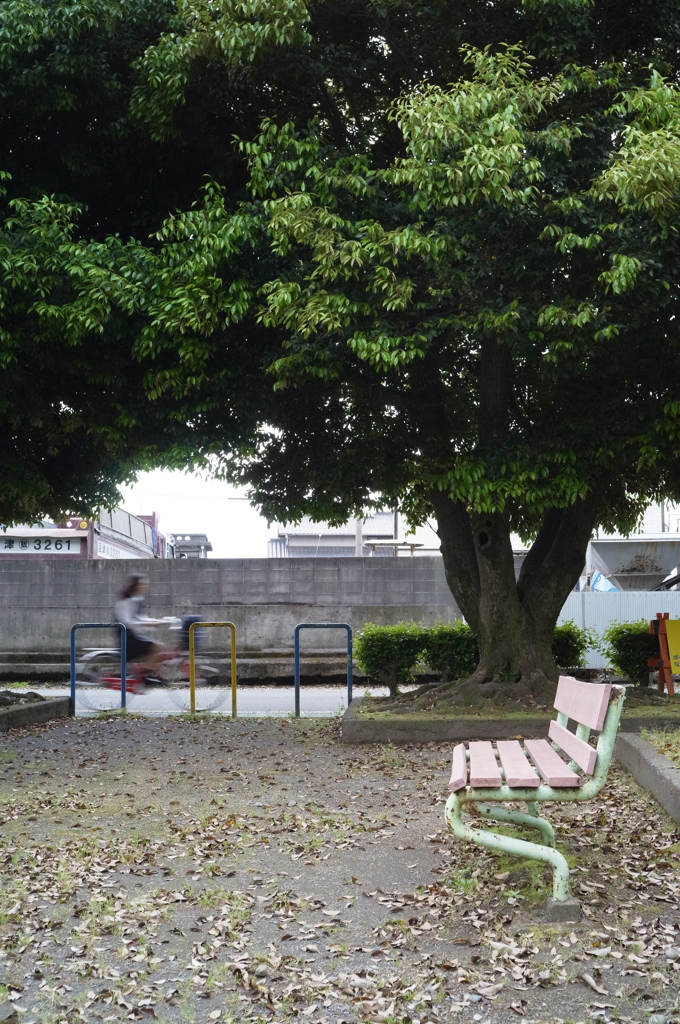 風