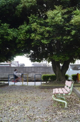 風