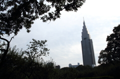 新宿御苑にて