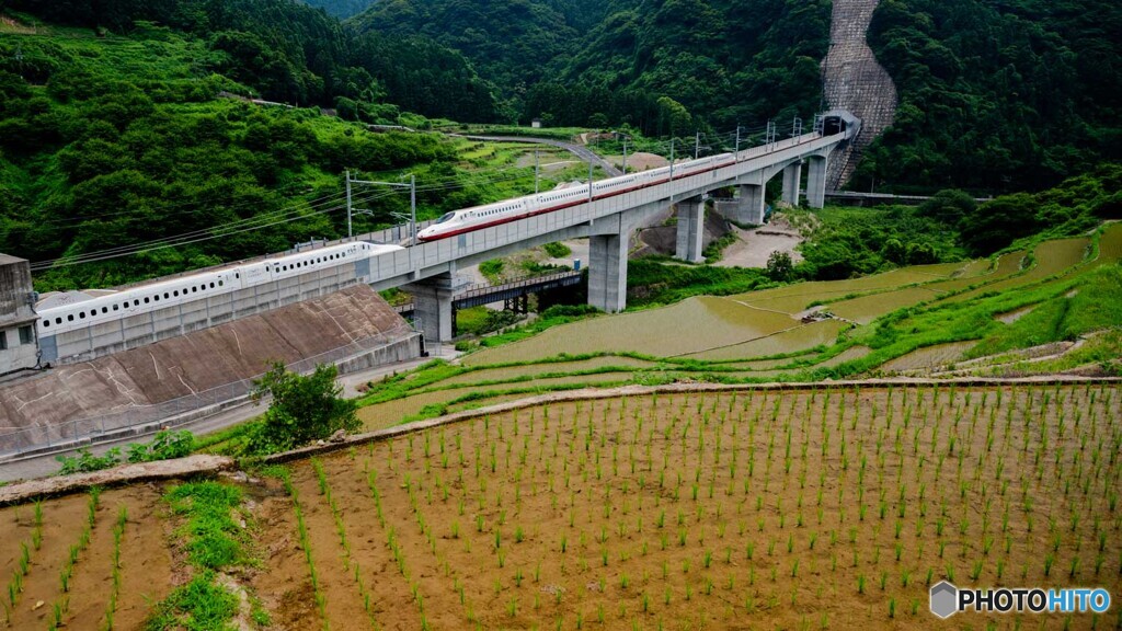 田植えが終わって