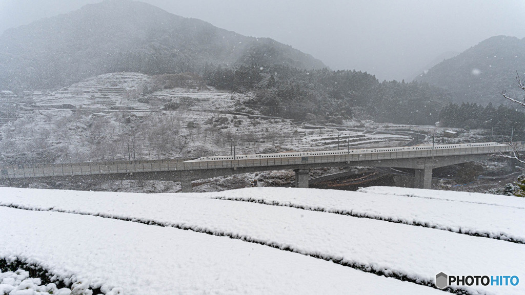 雪景色とカモメ