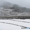 雪景色とカモメ