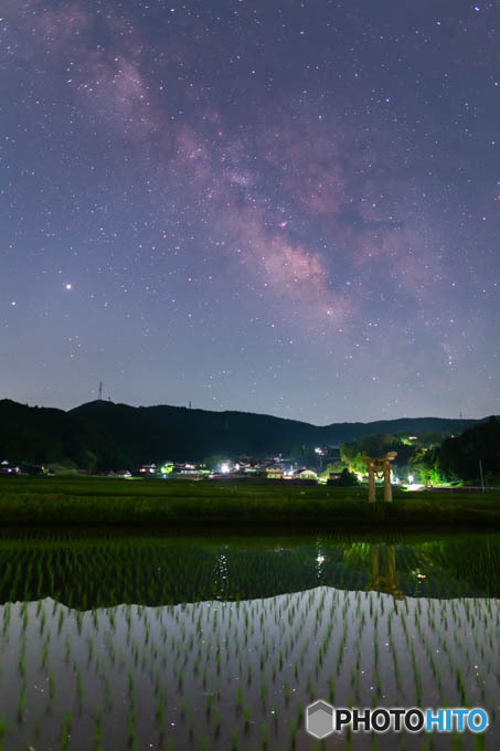 田園の鳥居