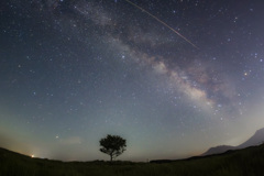 ペルセウス流星