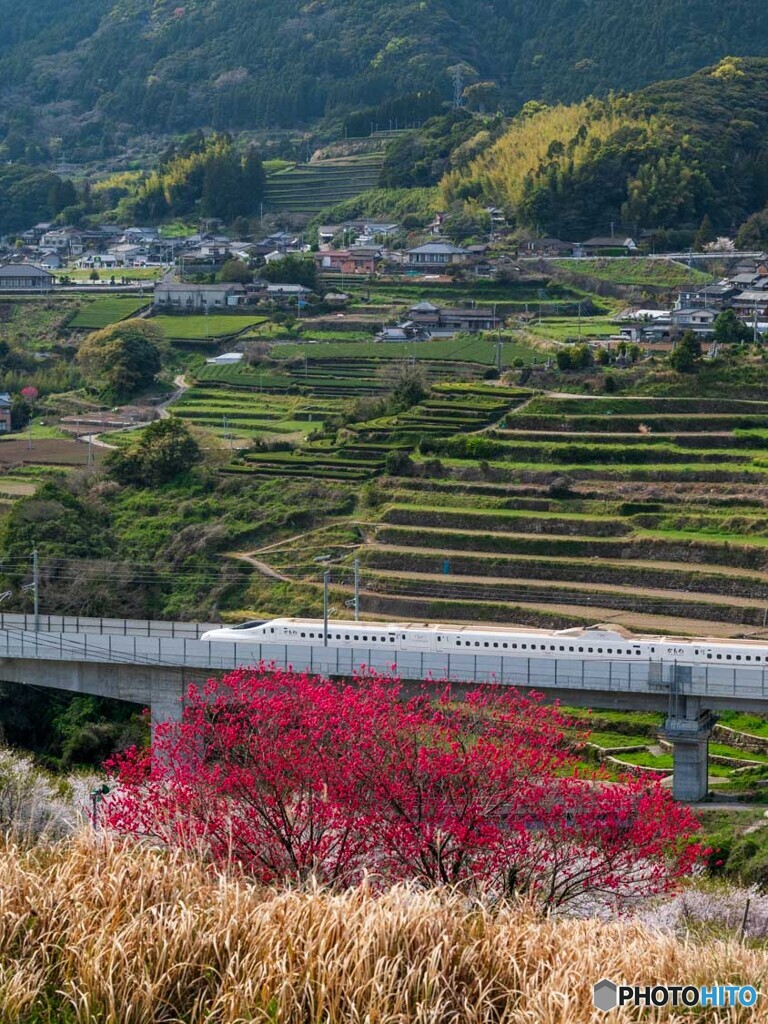 田舎の春景色