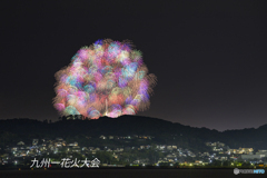 待ってました！千輪菊