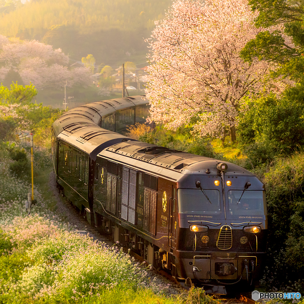 サクラと豪華列車ななつ星