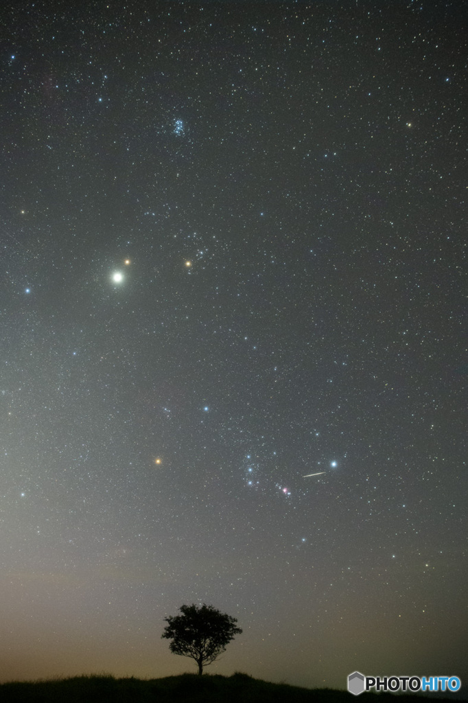 プチ流星