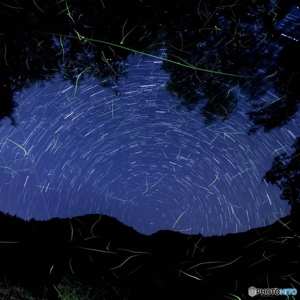 ホタル流星群