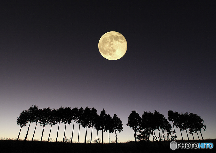 秋の夜長