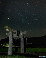 田園の鳥居とオリオン座