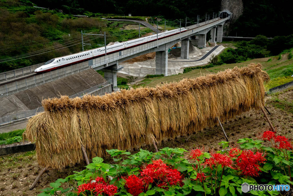 田舎を走る