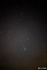 レナ－ド彗星