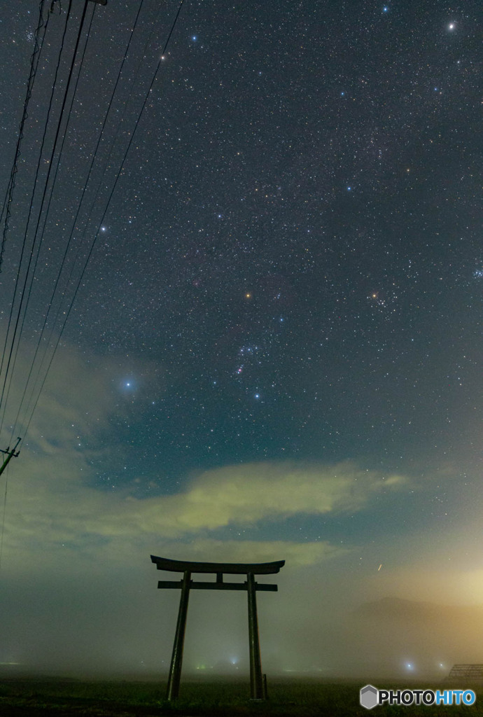 霧の中で