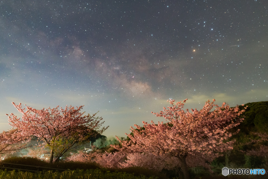 河津桜と春の天の川