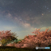 河津桜と春の天の川