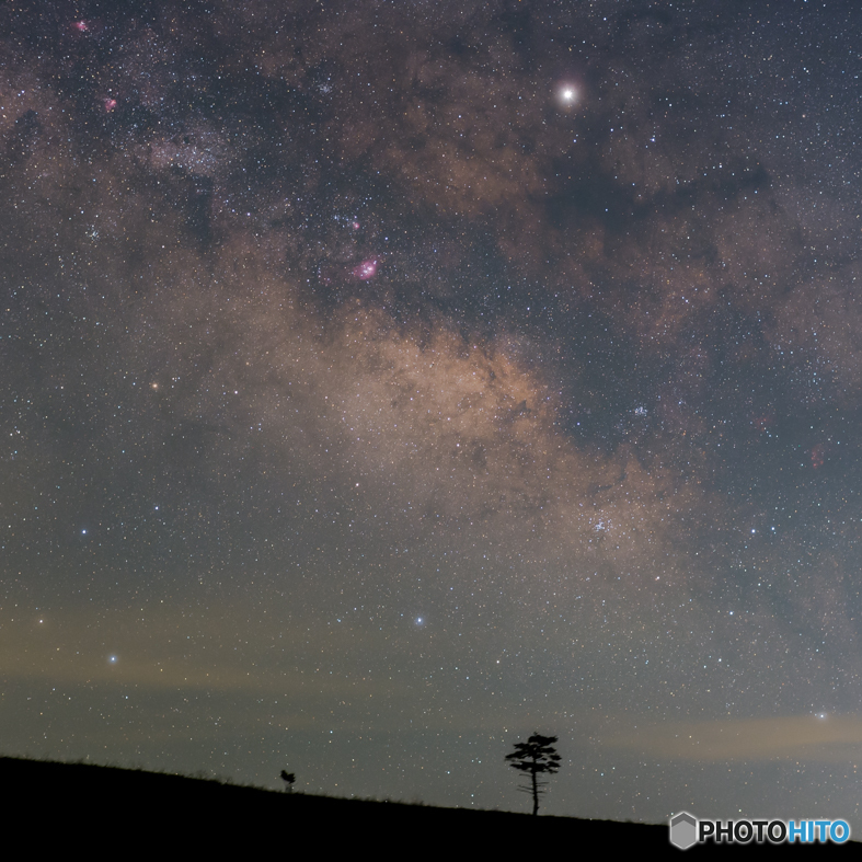 the Galaxy