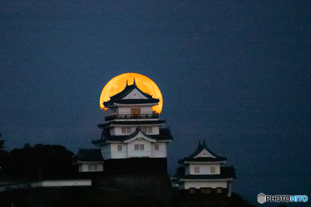 平戸城と満月