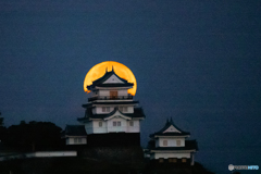 平戸城と満月