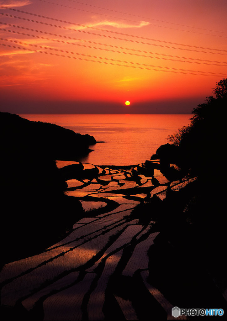 棚田夕景